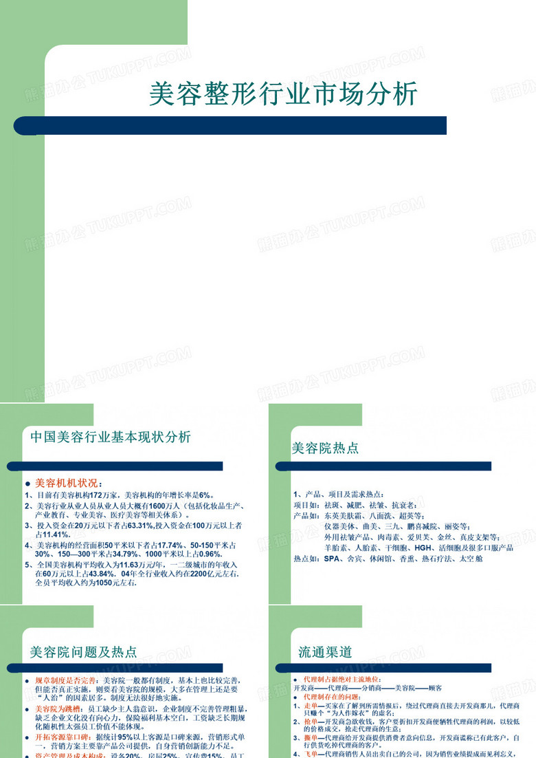 美容整形行业市场分析 PPT课件