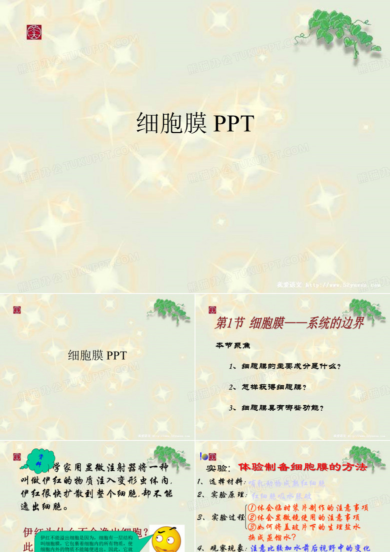 细胞膜 PPT