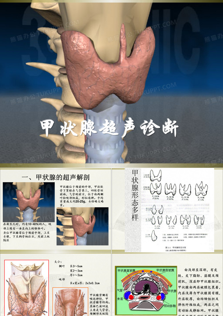 甲状腺超声诊断