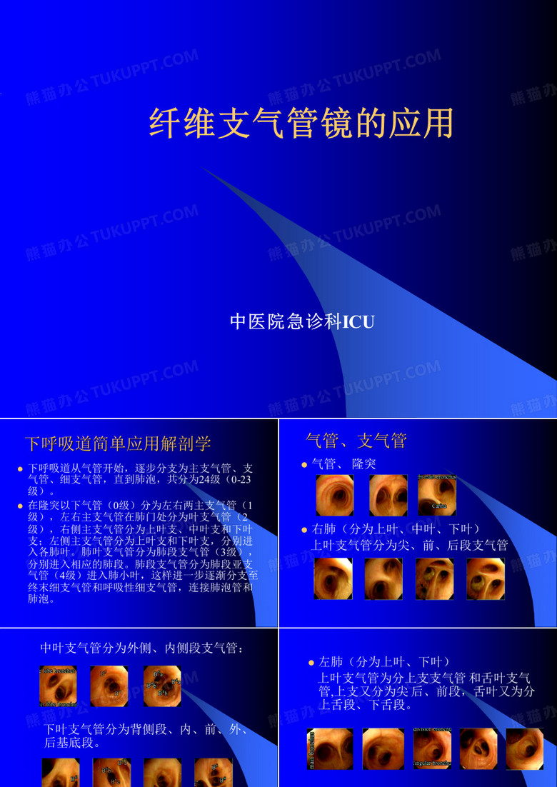纤支镜