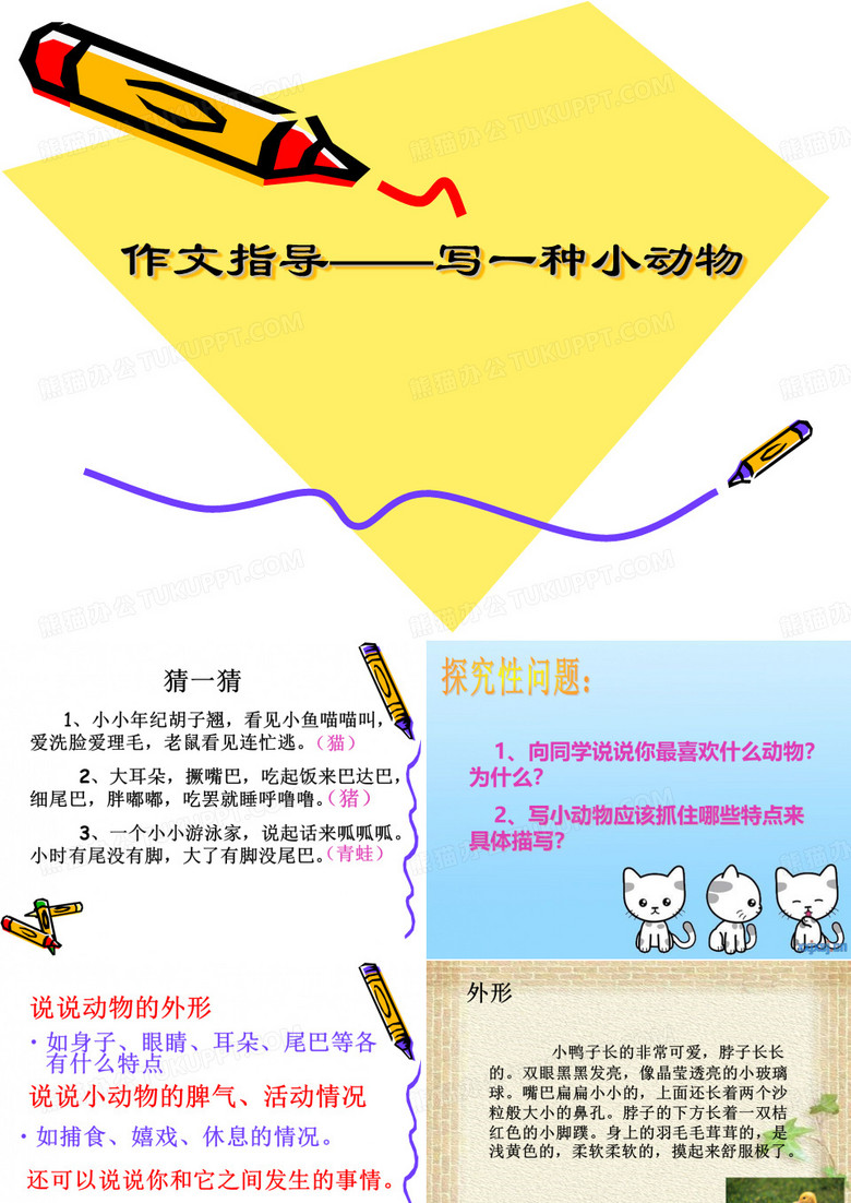 我喜欢的一种小动物