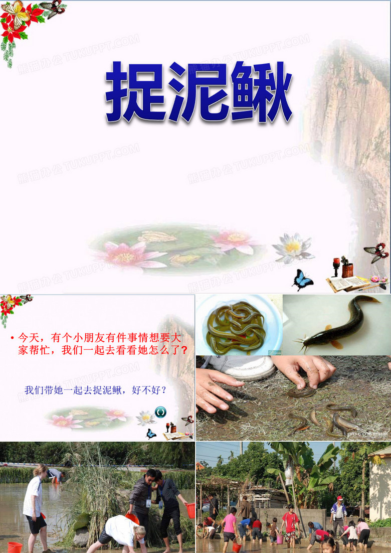 捉泥鳅 PPT精品课件