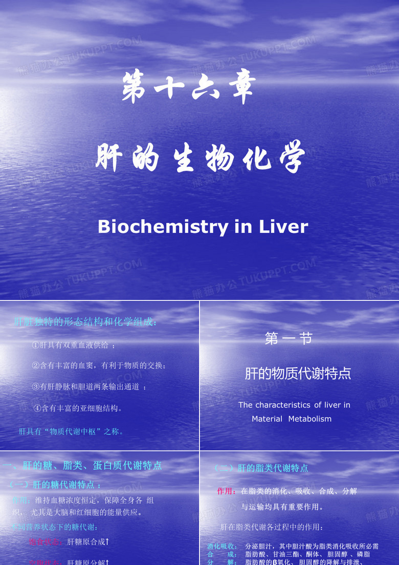 《生物化学》课件——肝的生物化学(人卫版)