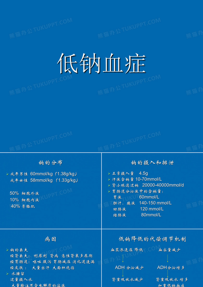 低钠血症PPT
