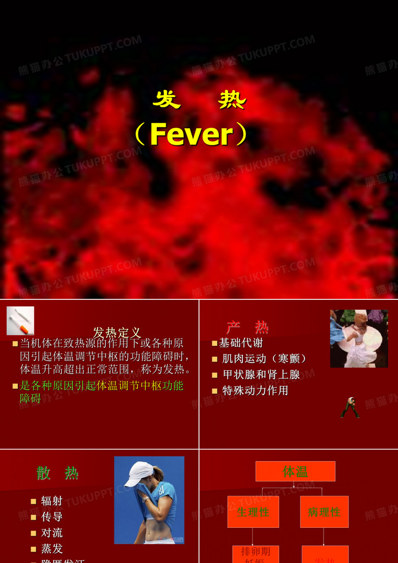 发热PPT课件