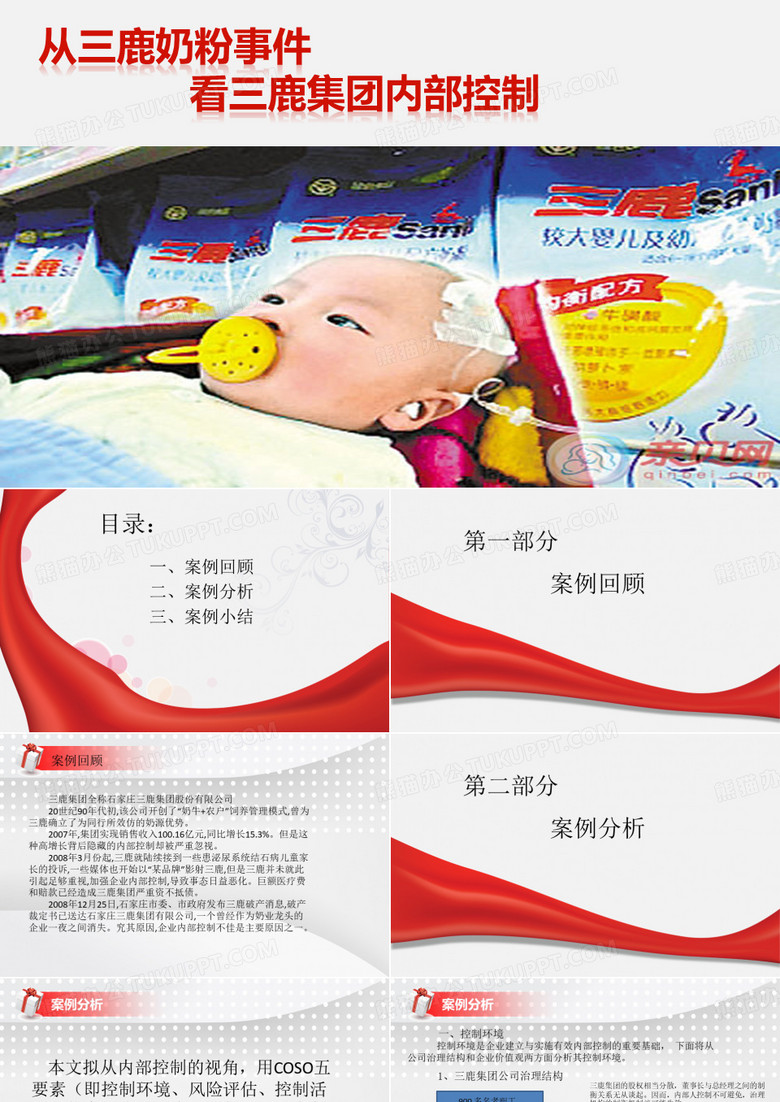 三鹿内部控制案例分析