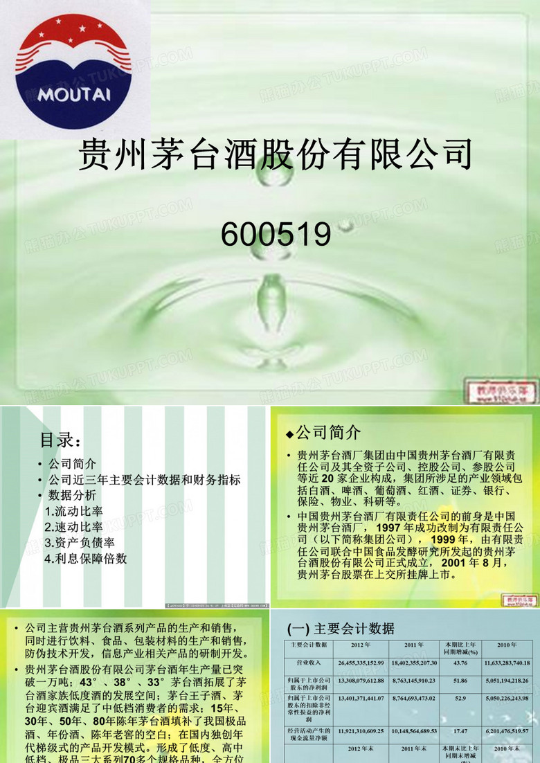 贵州茅台财务分析