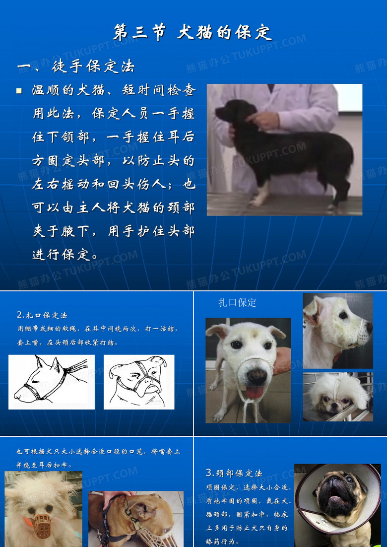 兽医外科手术学_ 保定_ 犬猫的保定_