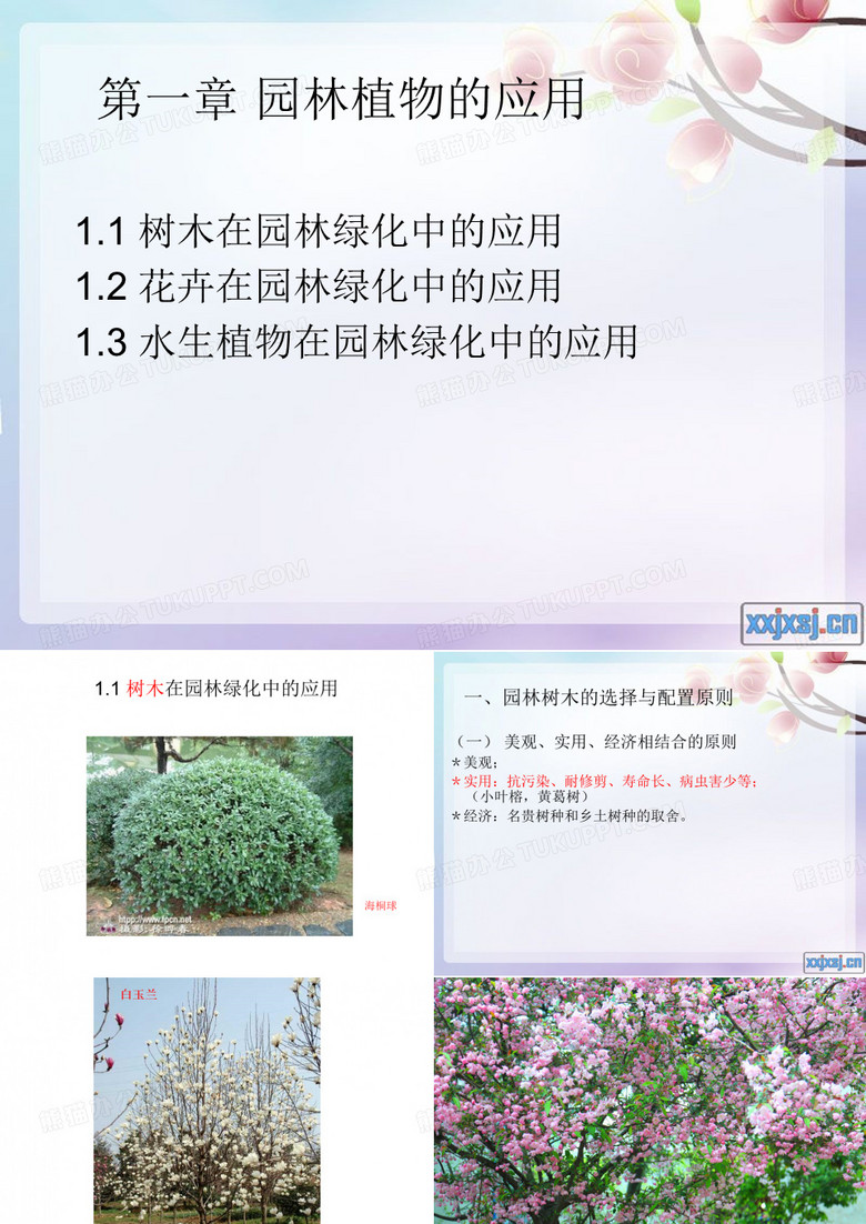 园林植物的应用