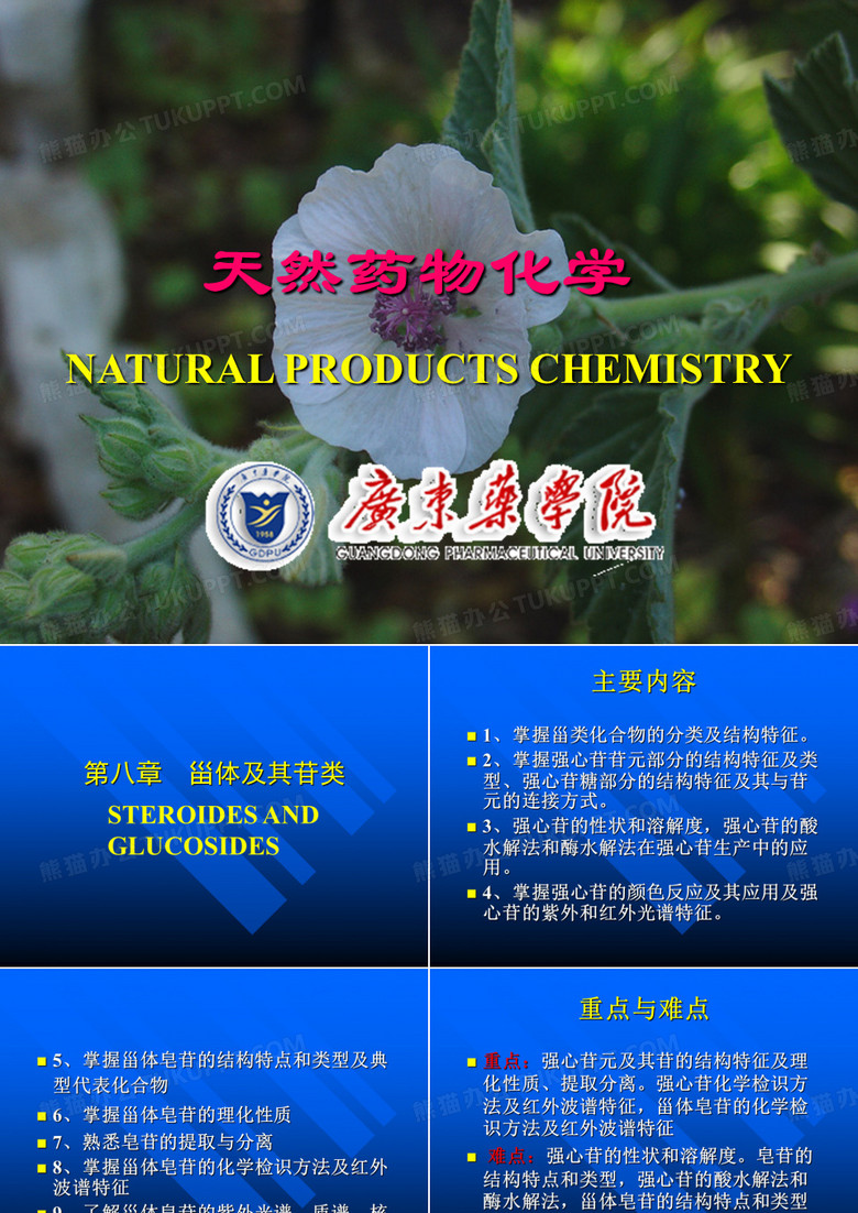 天然药物化学