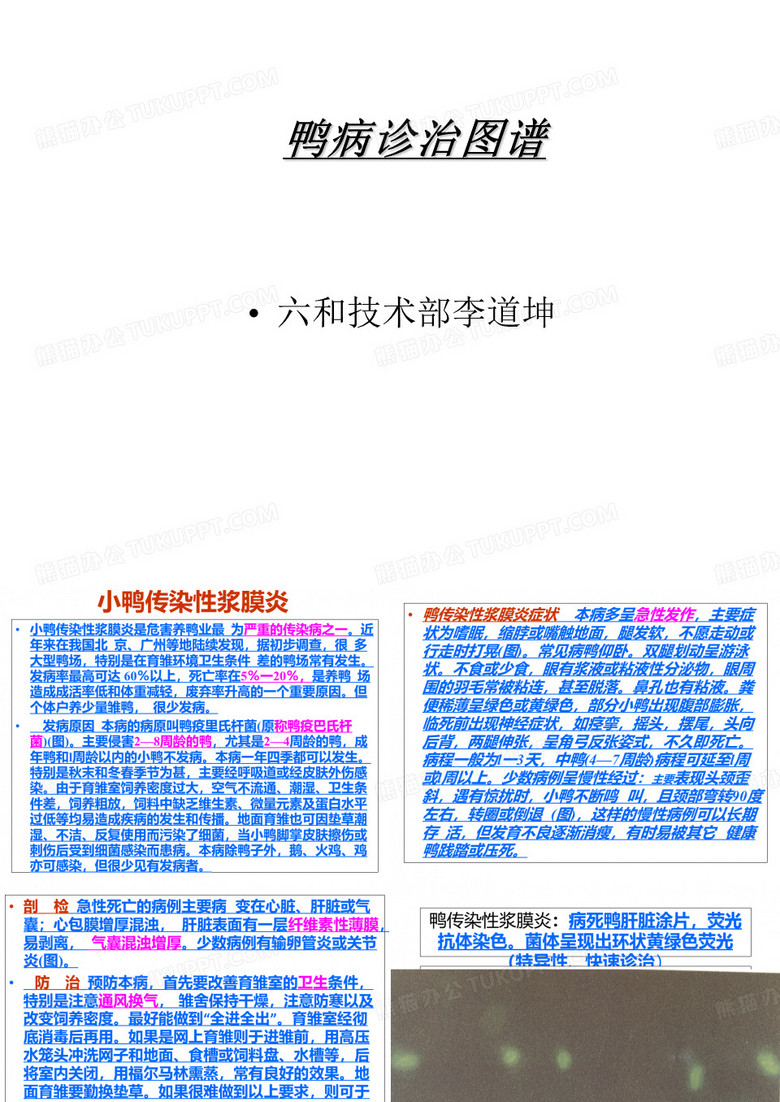 鸭病诊治图谱--浆膜炎图谱