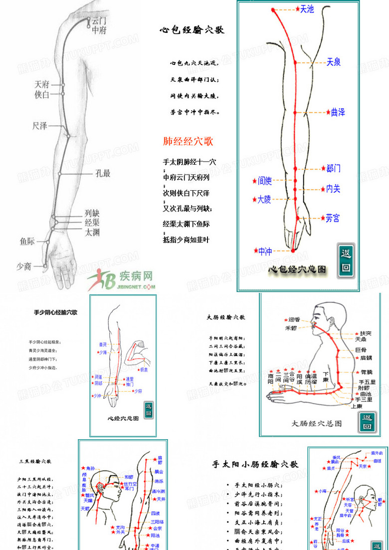 针灸图谱