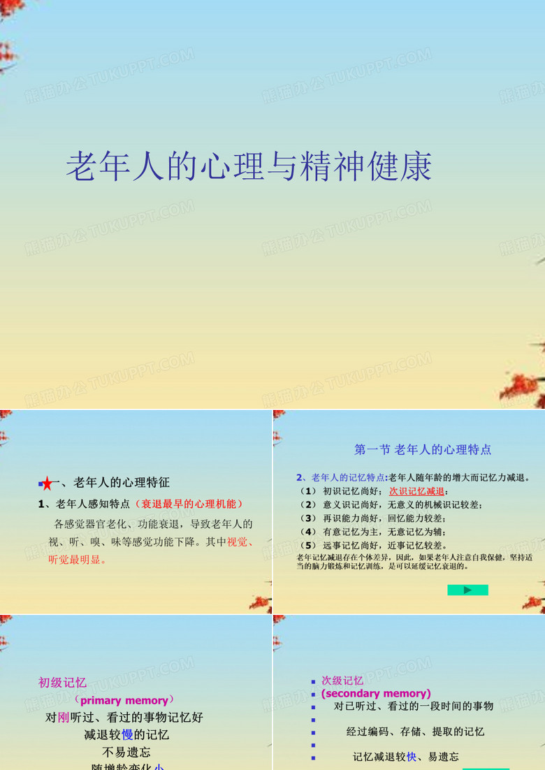 老年人的心理与精神健康