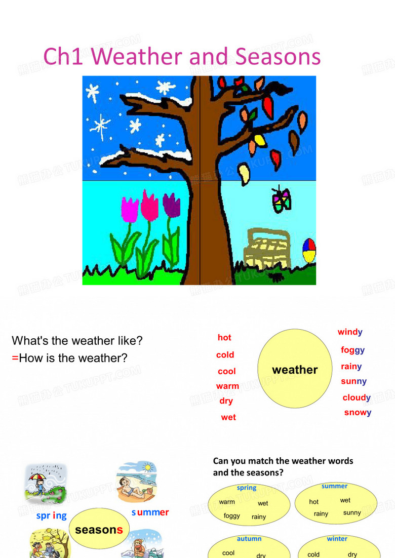 weather