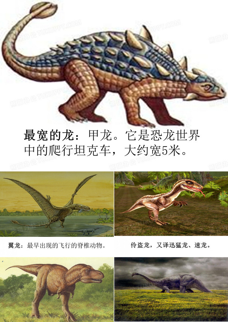 31恐龙的灭绝