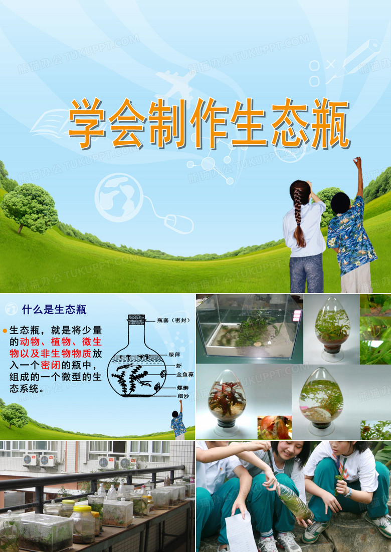 生态瓶的制作