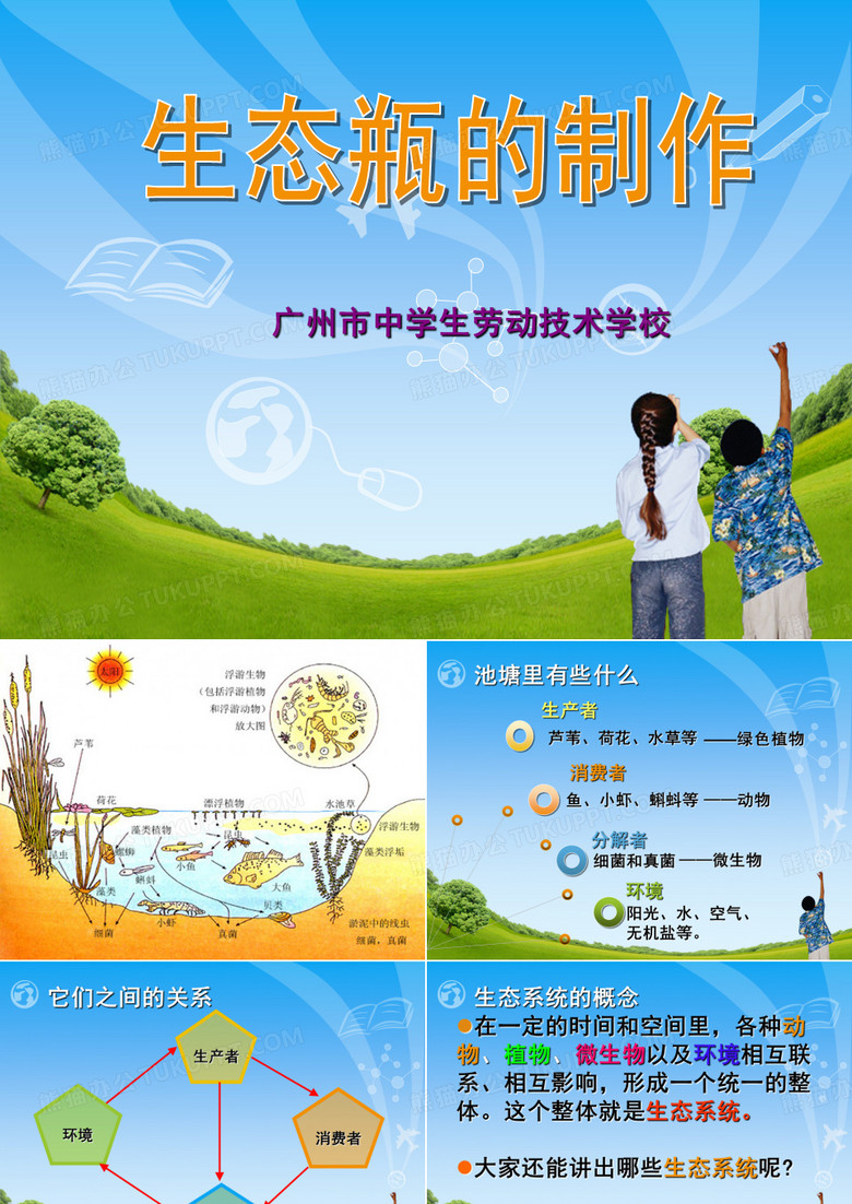 生态瓶制作