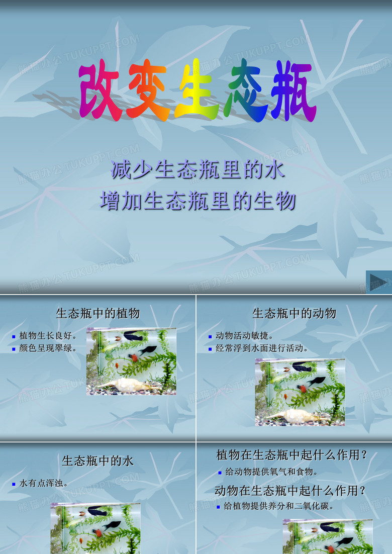 7.改变生态瓶