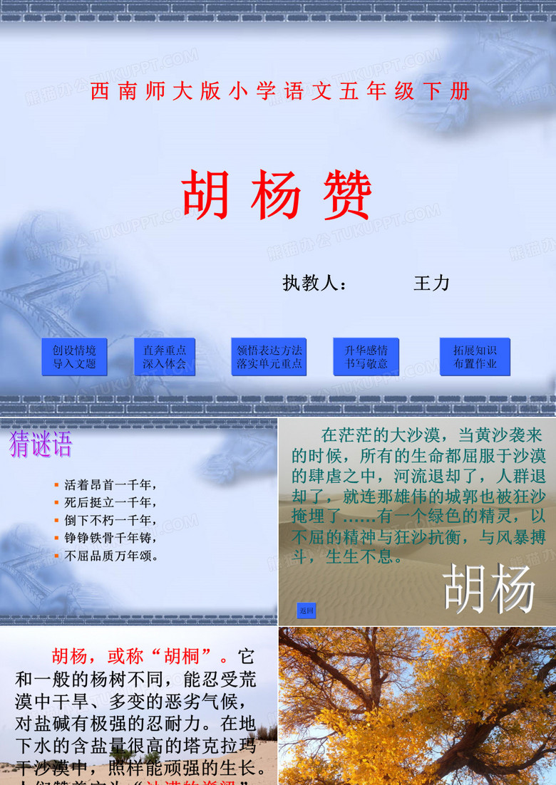 《胡杨赞》课件好用