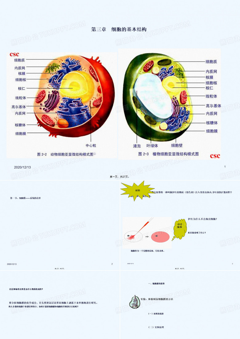 生物必修一细胞膜