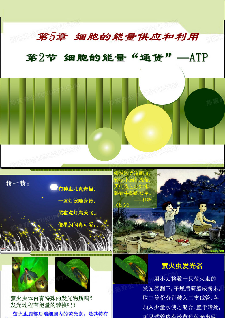 生物必修一ATP