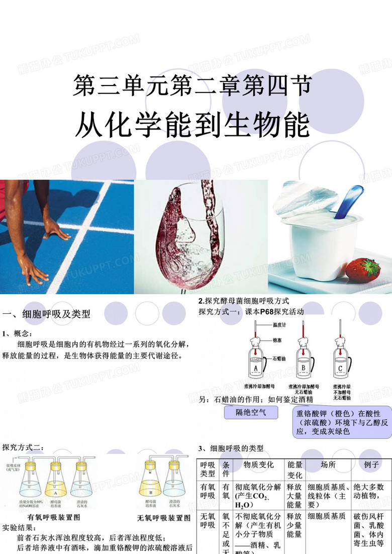 生物必修一呼吸作用