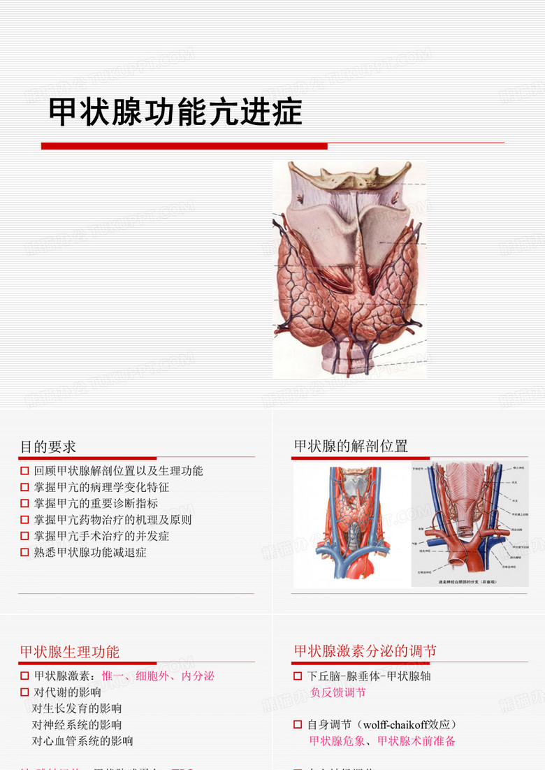 甲状腺功能亢进