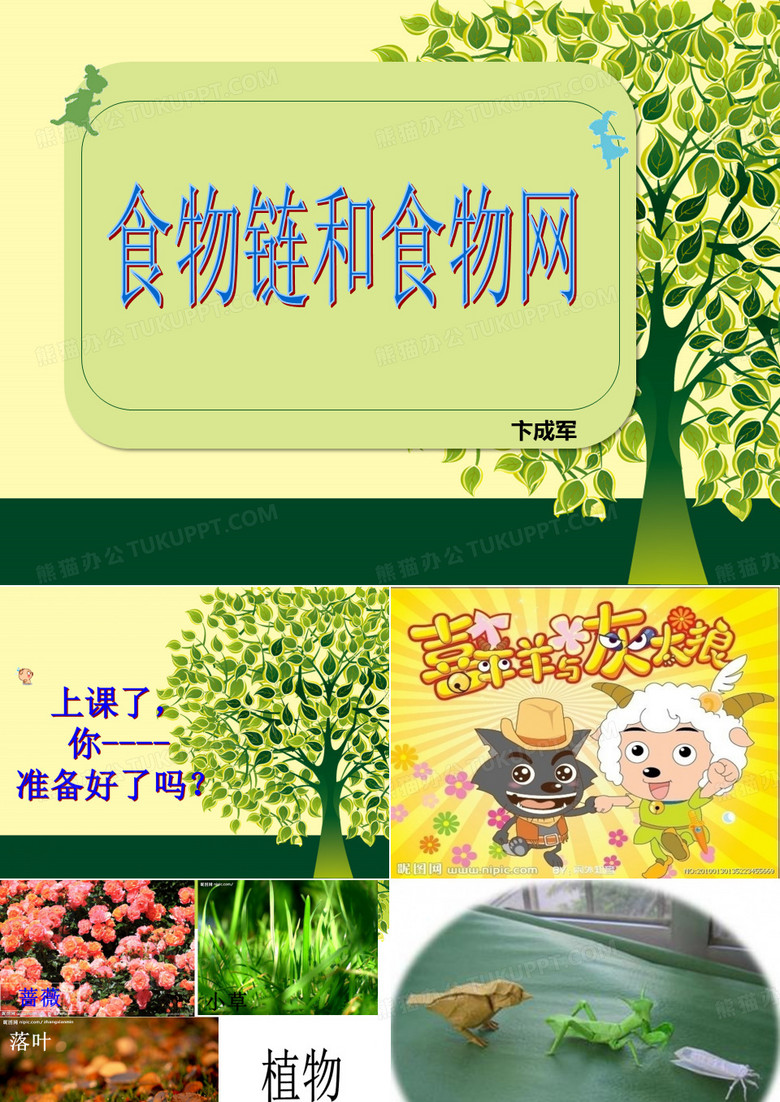 食物链和食物网PPT