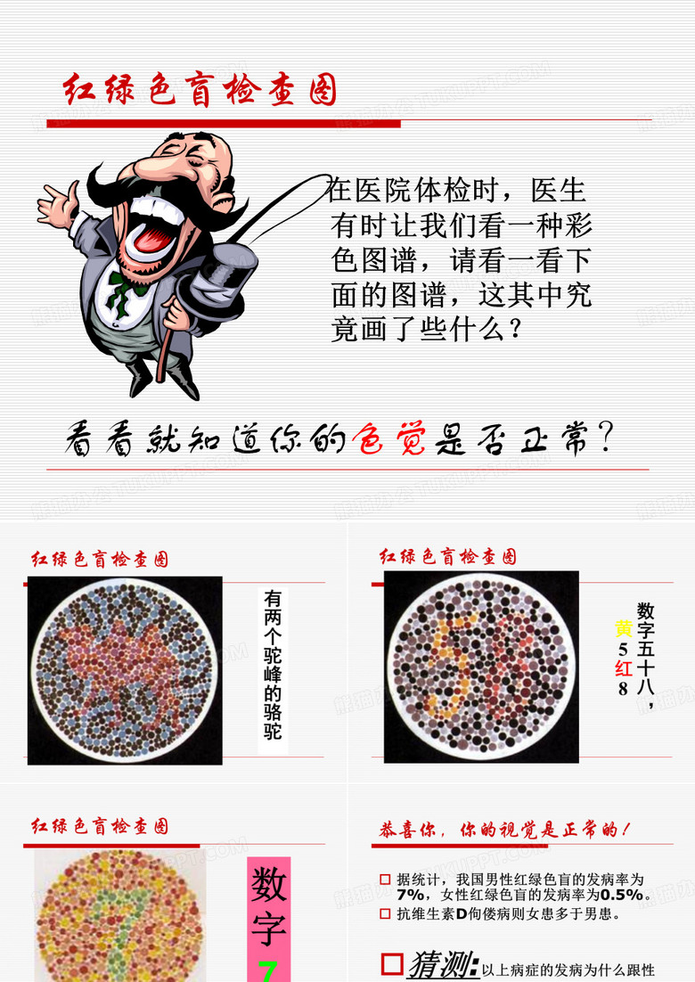 伴性遗传
