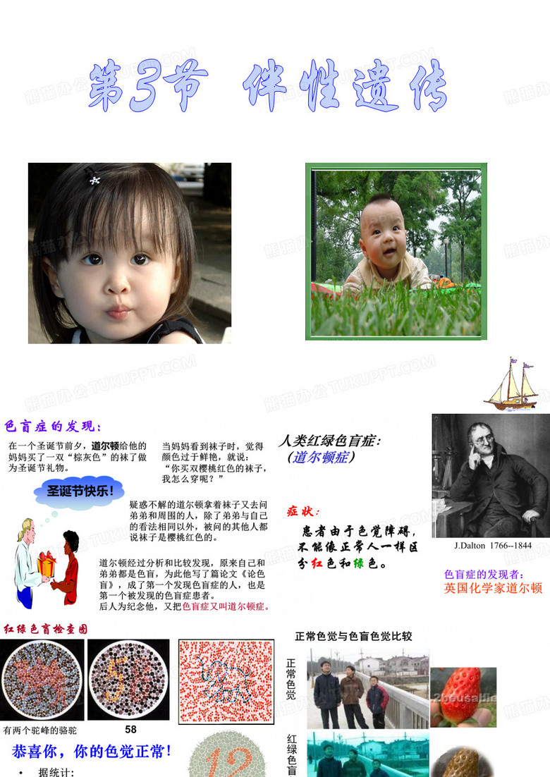伴性遗传  