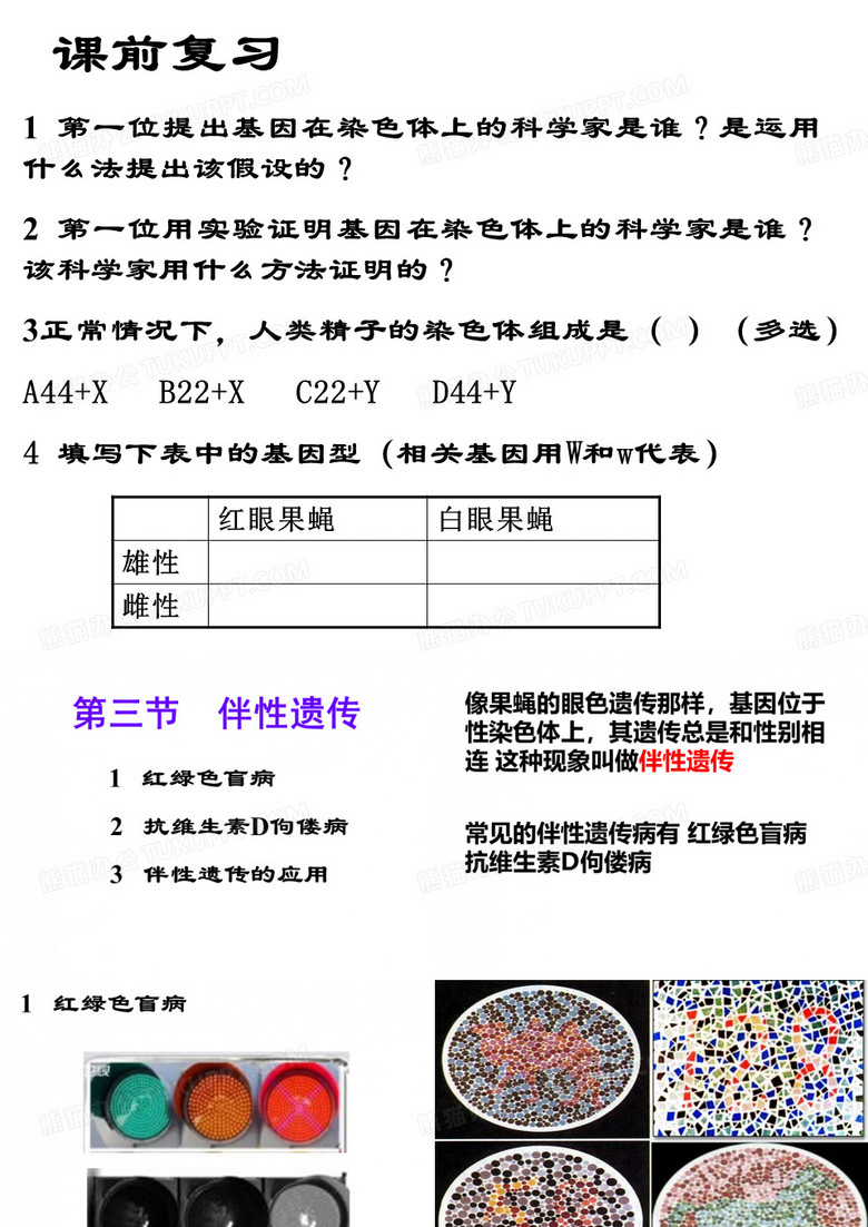 伴性遗传