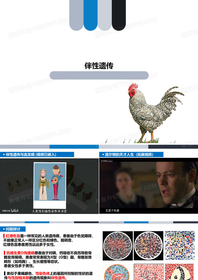 伴性遗传