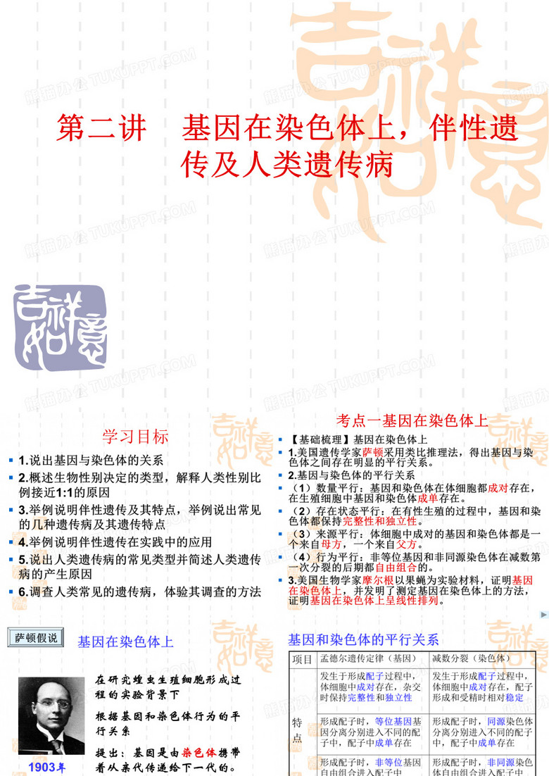伴性遗传
