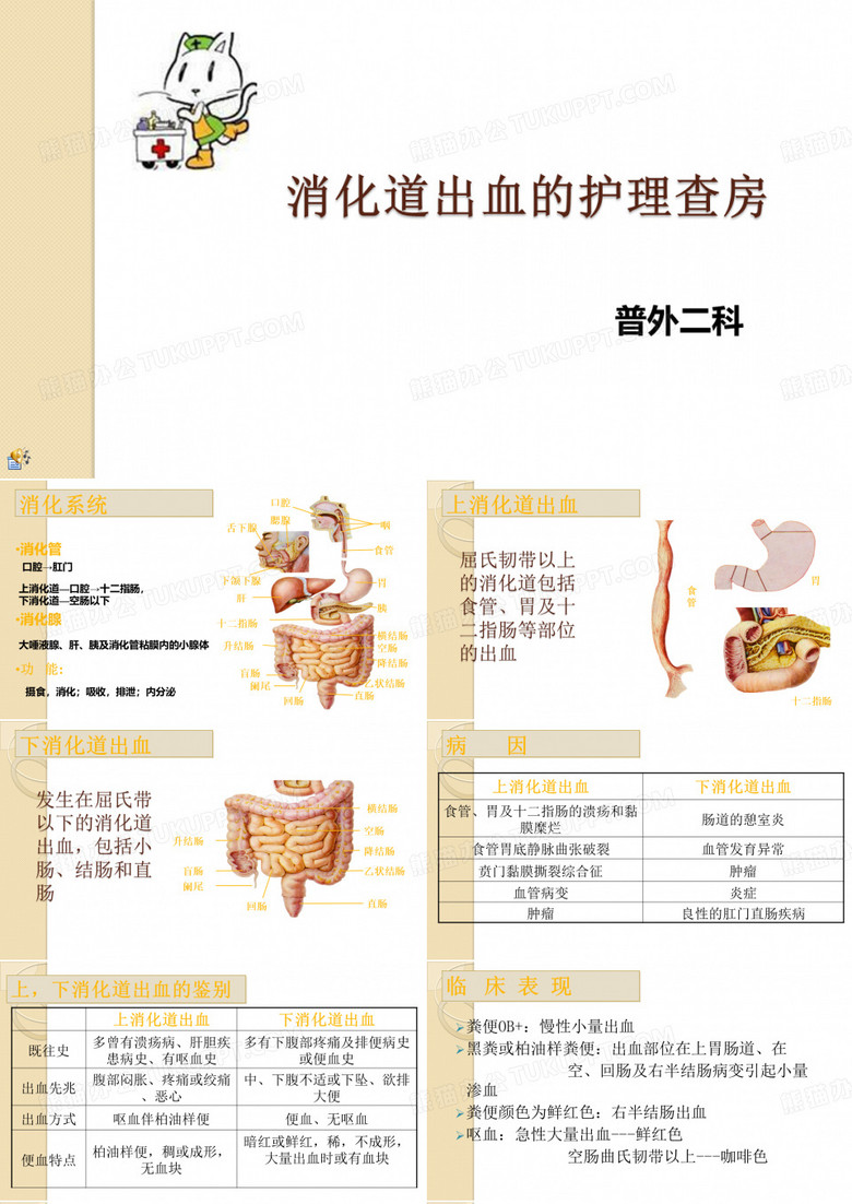 消化道出血的护理查房