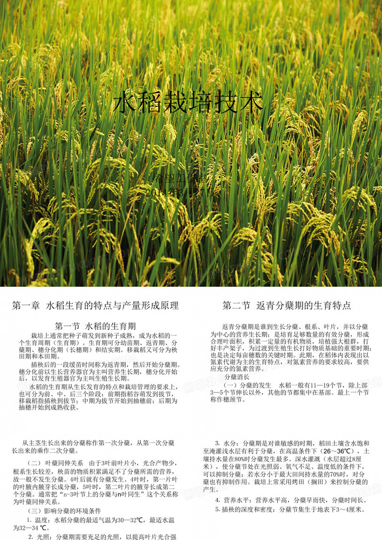 水稻种植技术