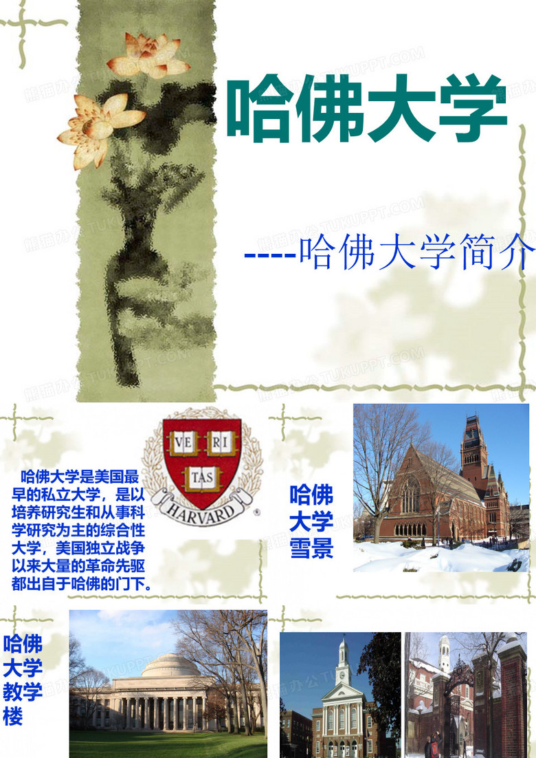 哈佛大学