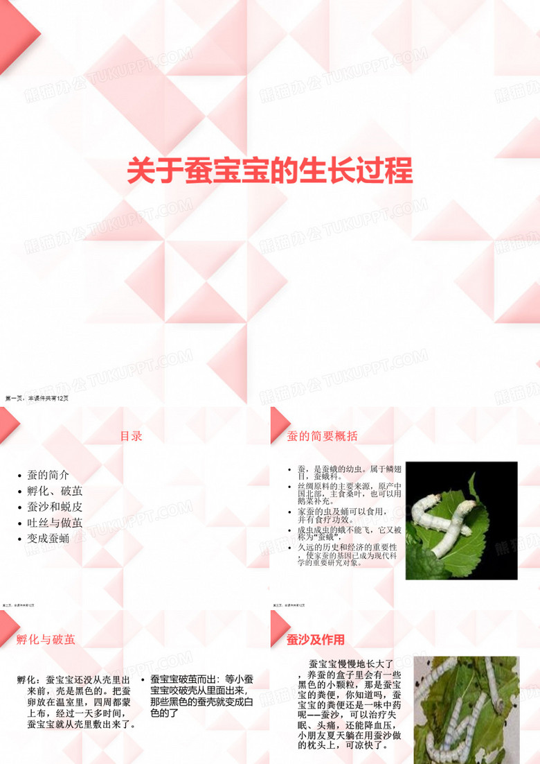 蚕宝宝的生长过程课件