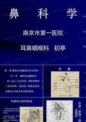 耳鼻喉科鼻科学