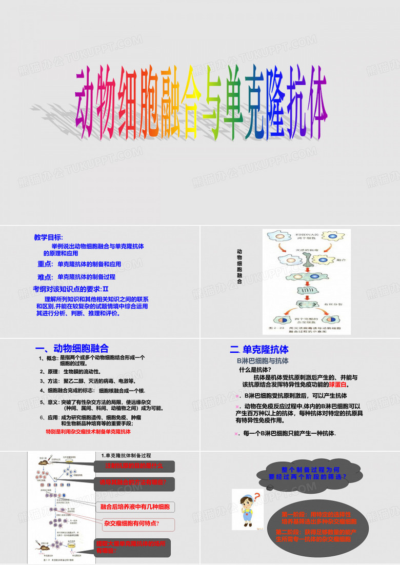 动物细胞融合与单体克隆抗体 高中生物人教选修 现代生物科技专题学习PPT教案