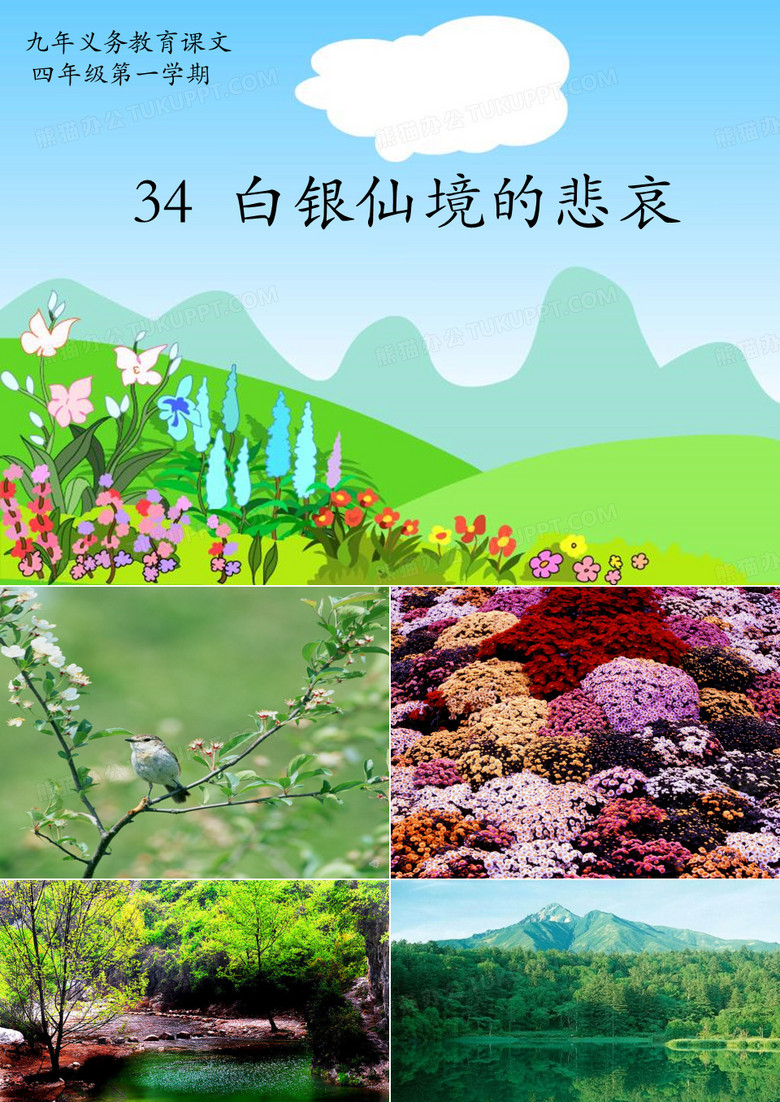 白银仙境的悲哀