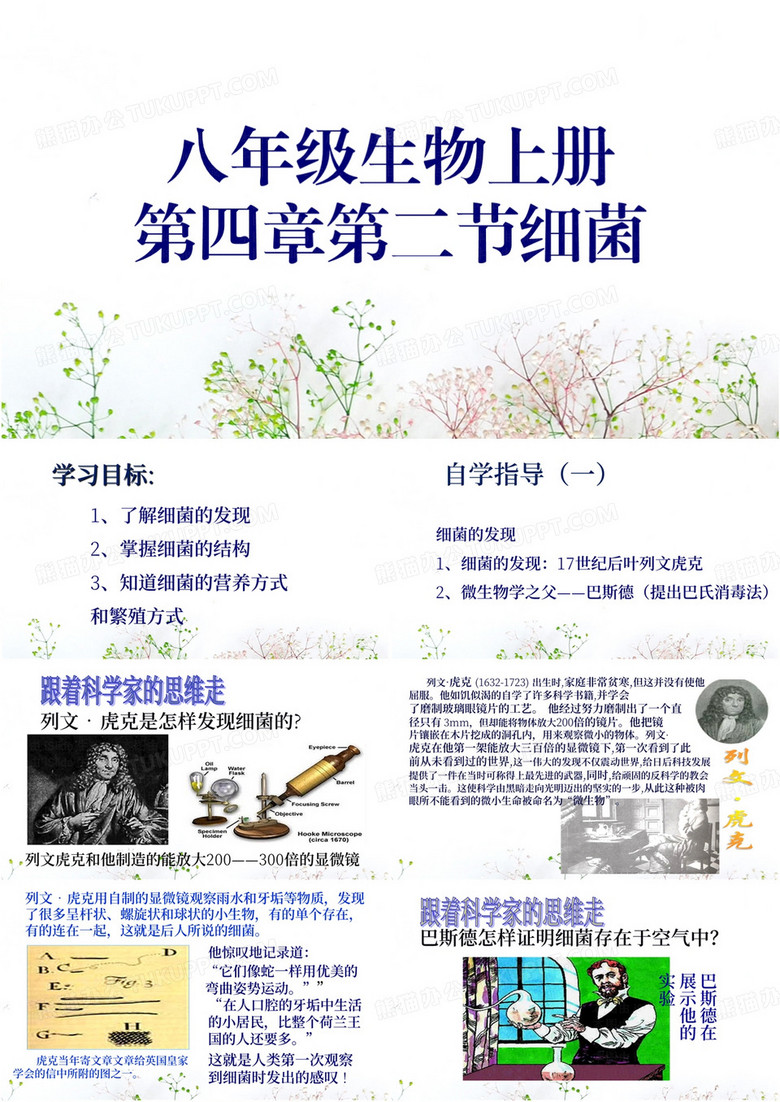 八年级生物上册第四章第二节细菌PPT模板