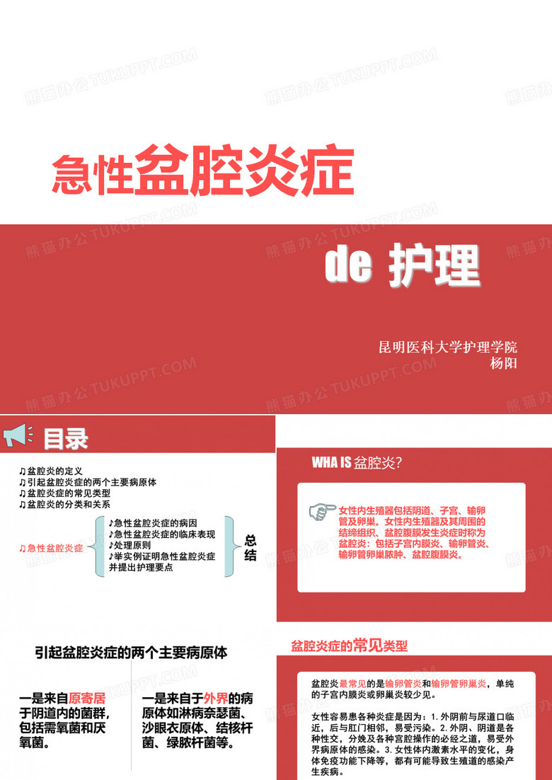 盆腔炎护理查房ppt