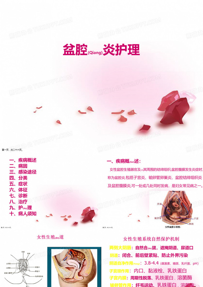 盆腔炎的护理查房培训ppt