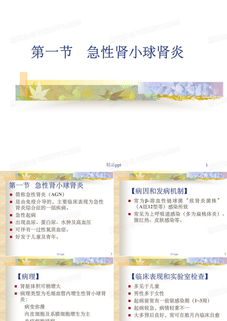 急性肾小球肾炎