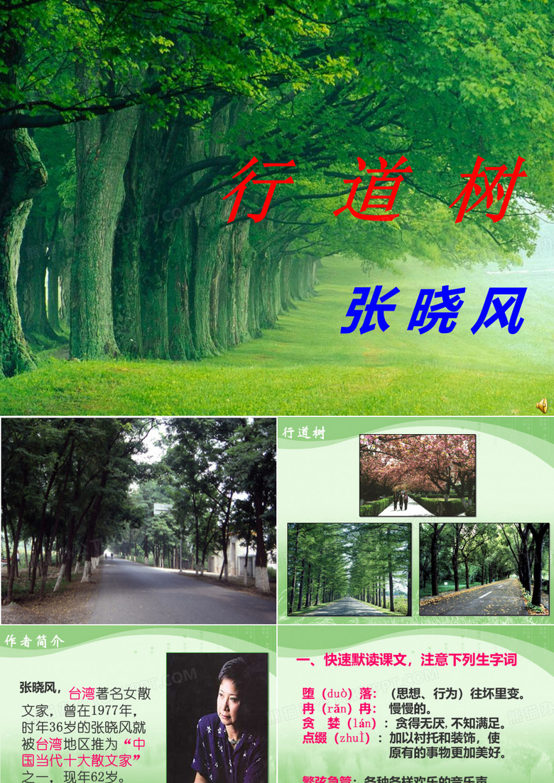 行道树