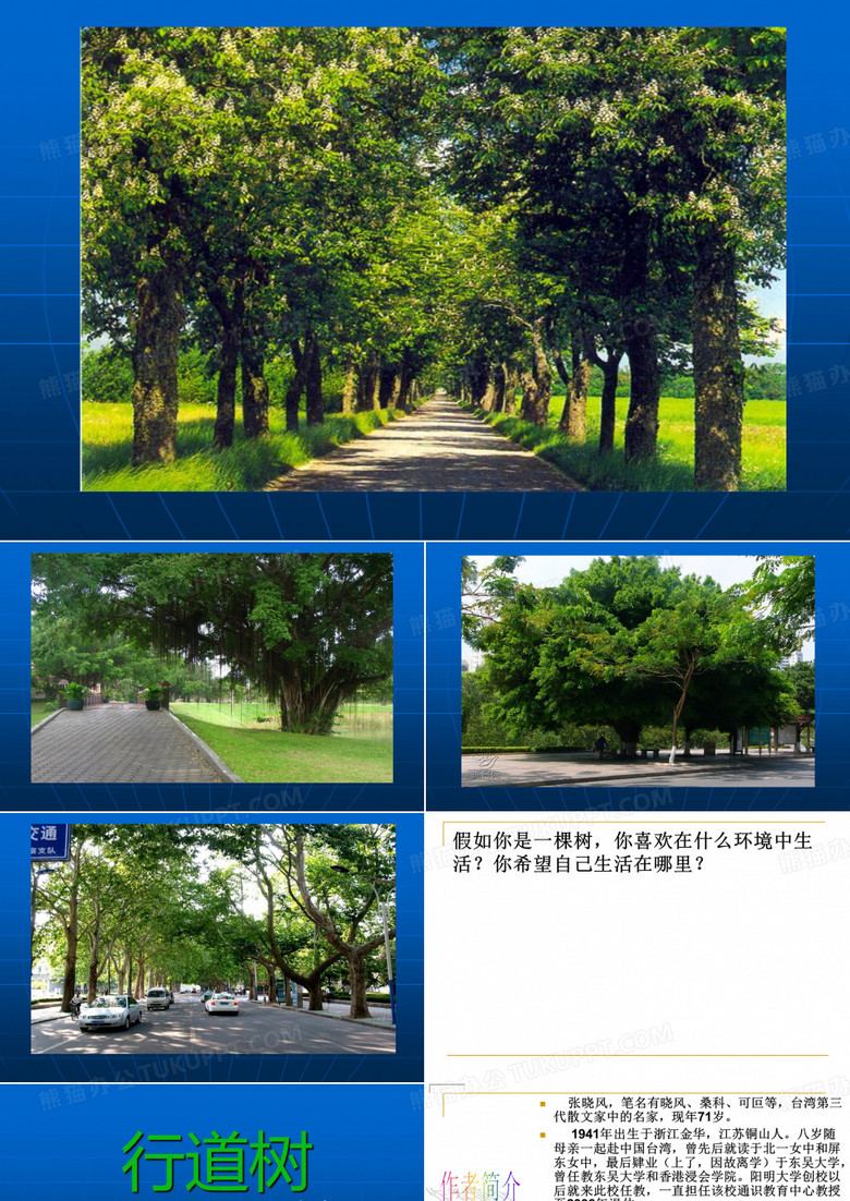 行道树课件