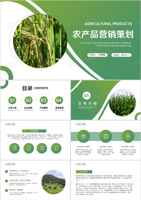 绿色简约风农产品营销策划PPT模板