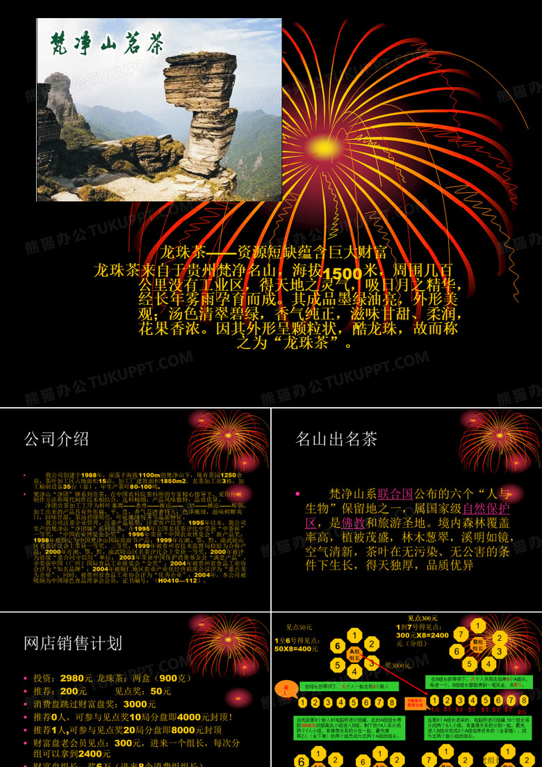 龙珠茶网店直销模式1.ppt(2)