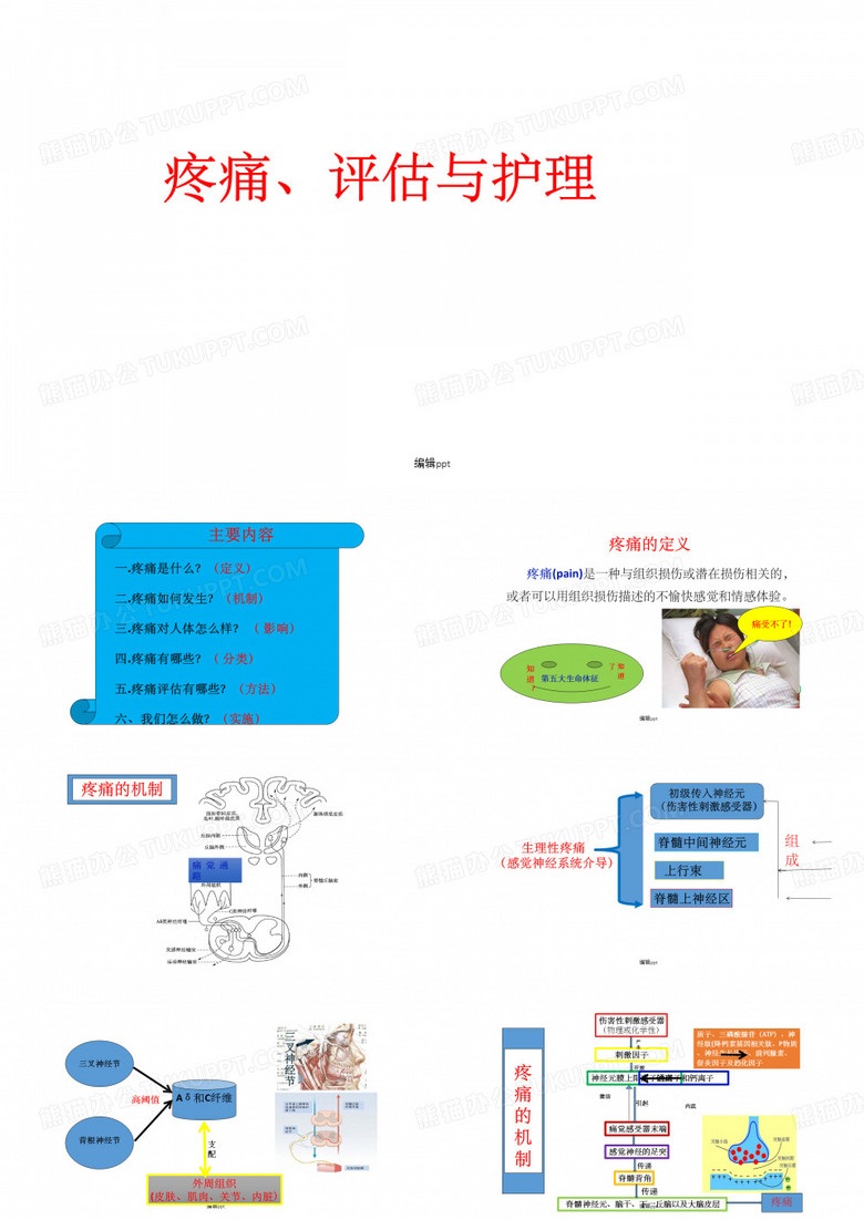疼痛、评估与护理