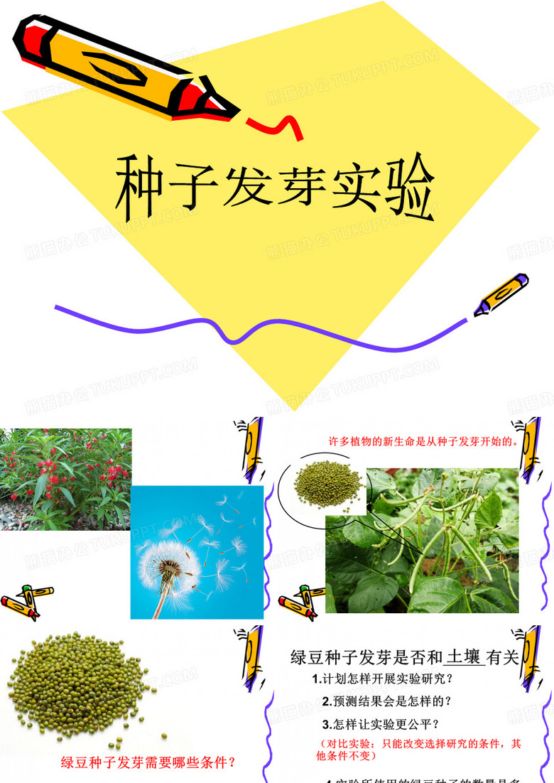 种子发芽实验